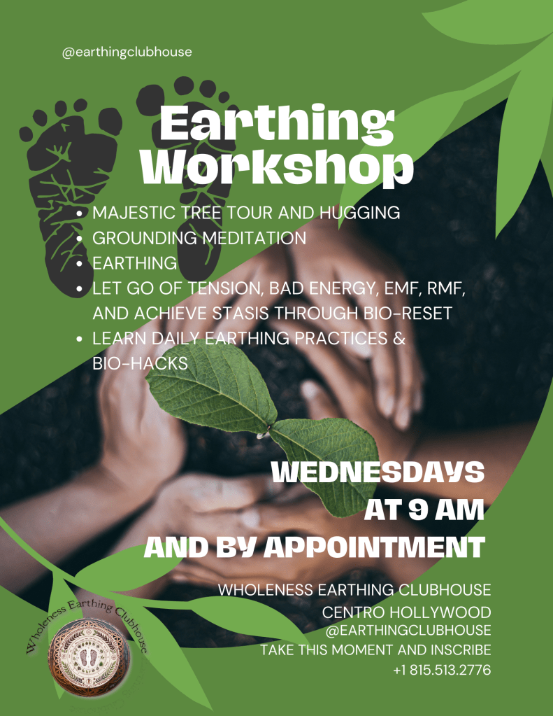 Earthing Workshop every Wednesday morning at Earthing Clubhouse Playa Del Carmen