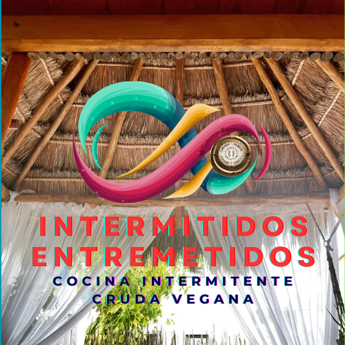 Raw Vegan intermittent menu Playa del Carmen.