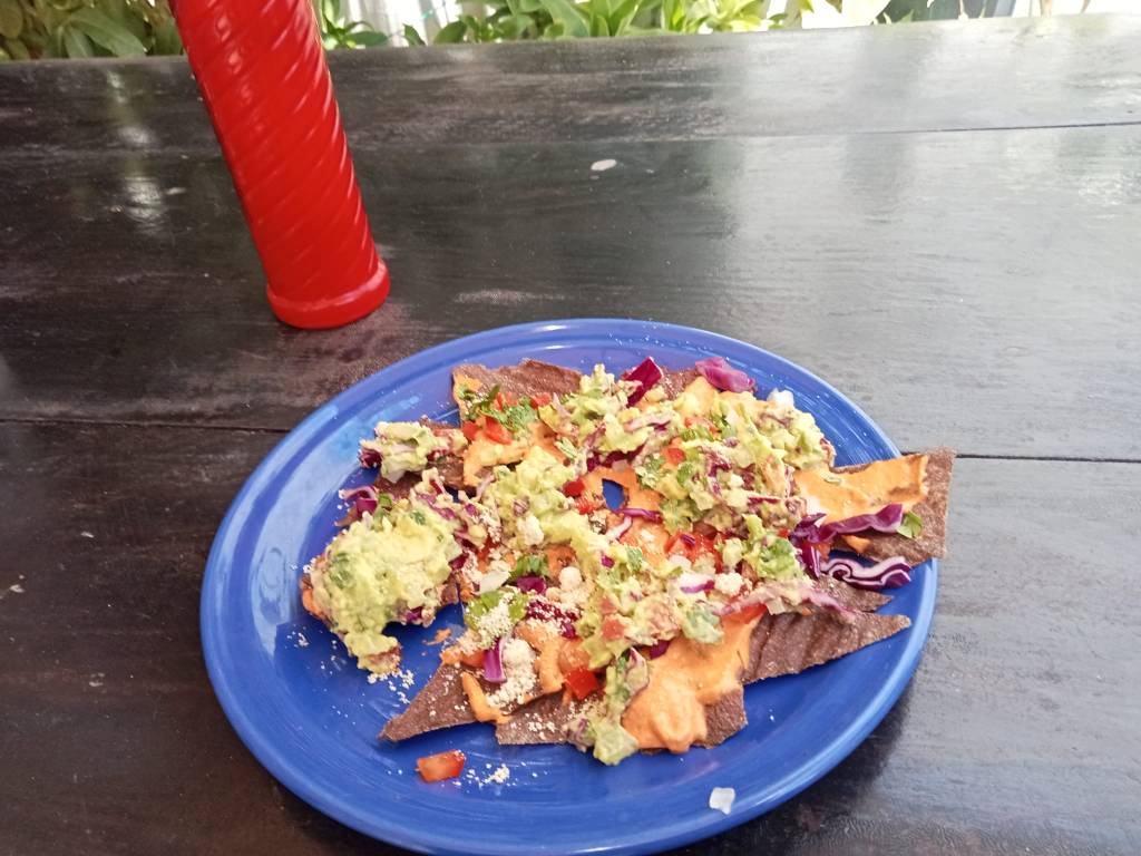 Raw vegan intermittent menu for take out and delivery and retreat menu Playa del Carmen. Raw vegan nachos.