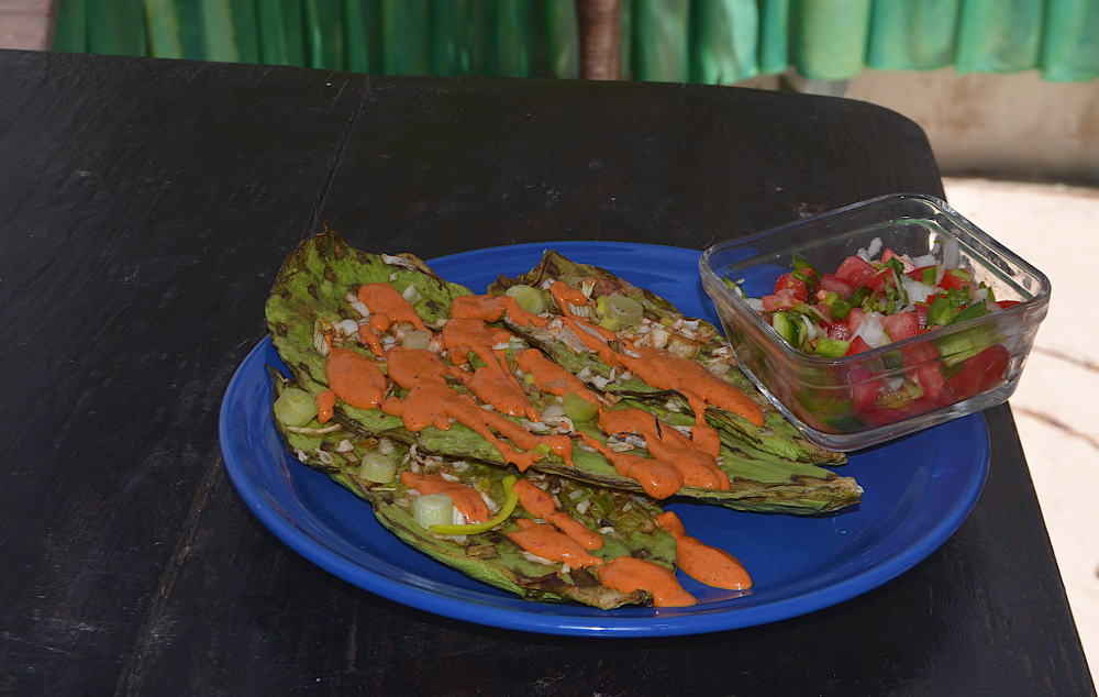 Raw vegan intermittent menu for take out and delivery and retreat menu Playa del Carmen. Nopal Steaks.
