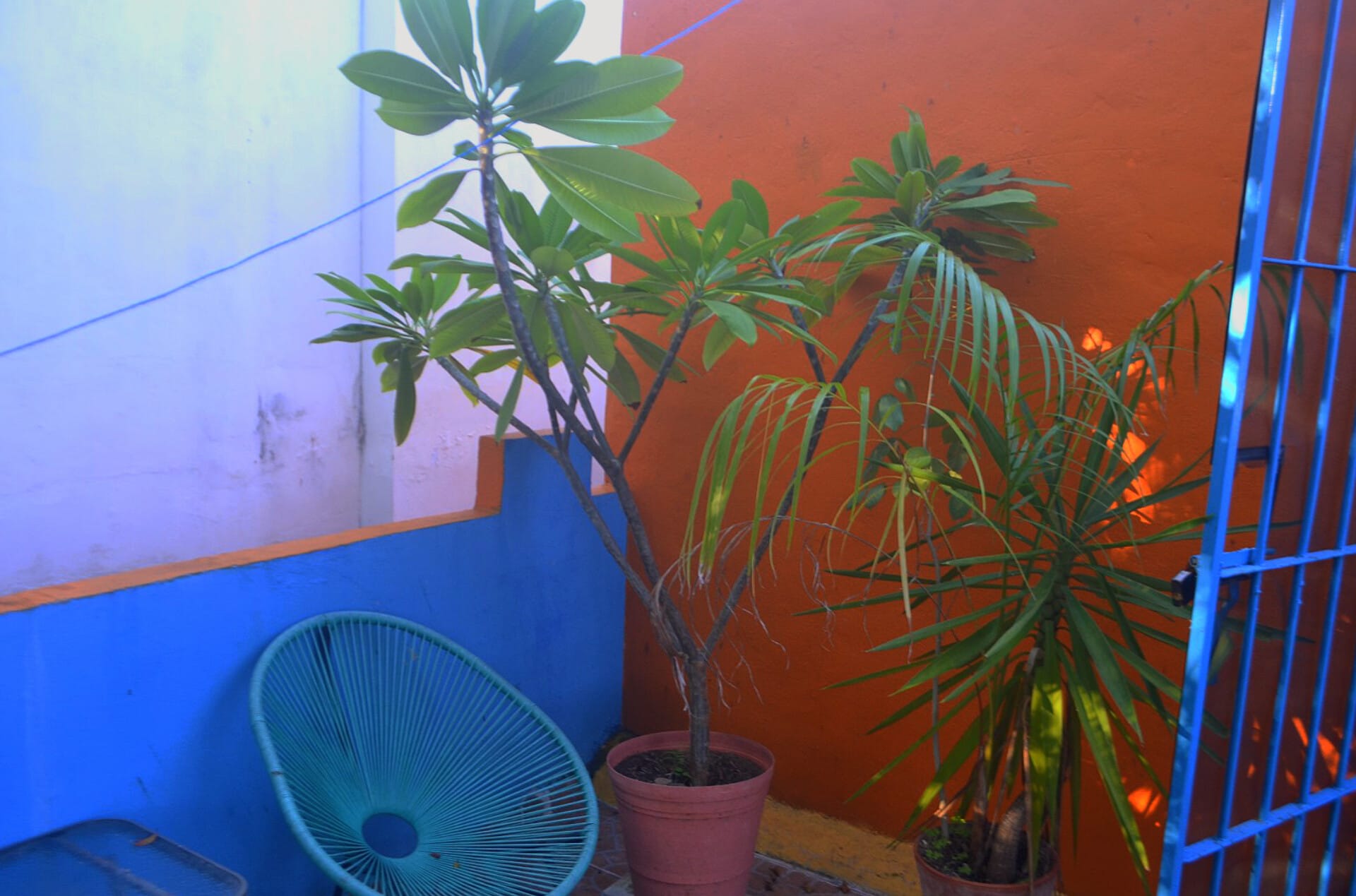 Patio Earthing Clubhouse