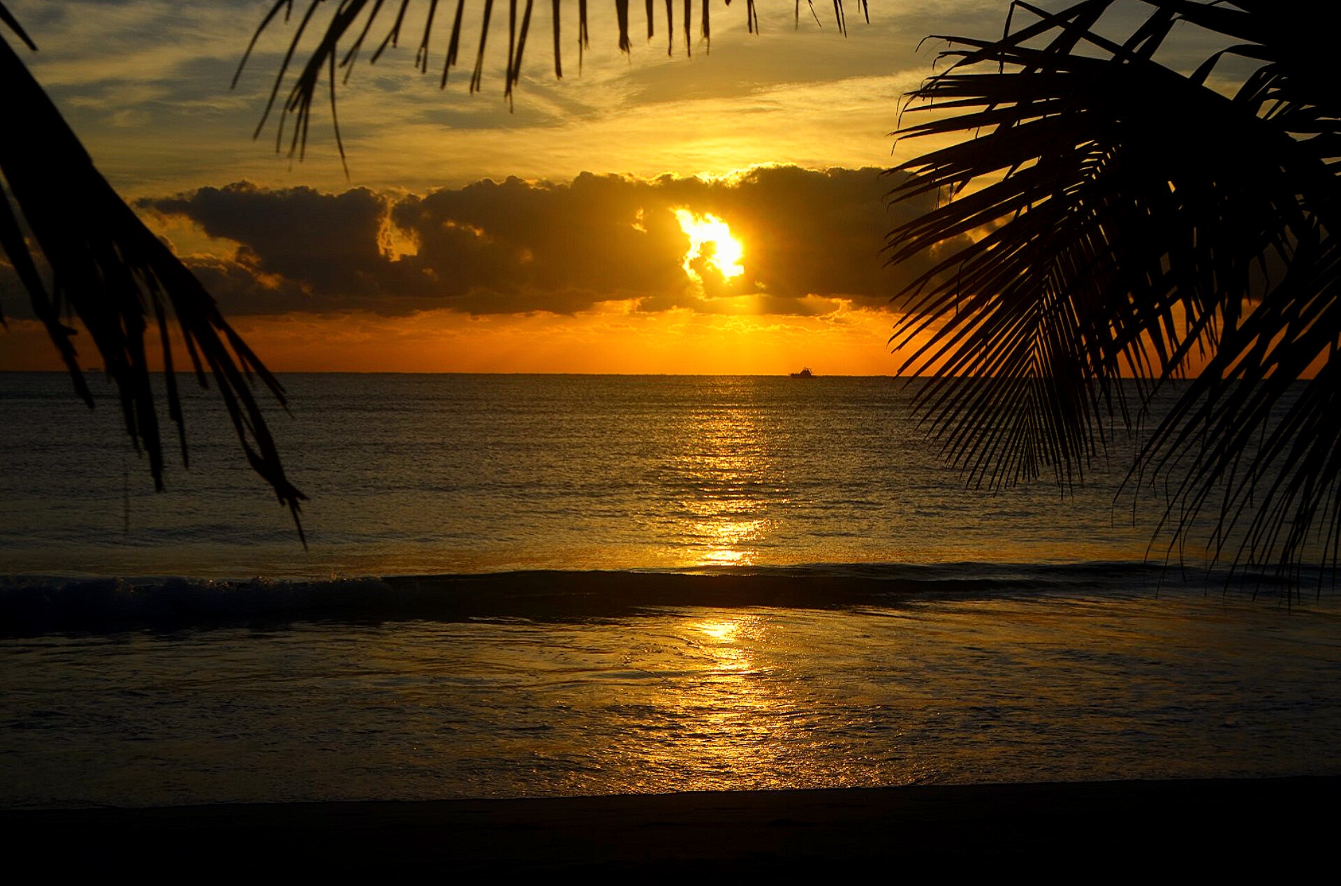 Caribbean Sunrise sungazing retreat Rivera Maya